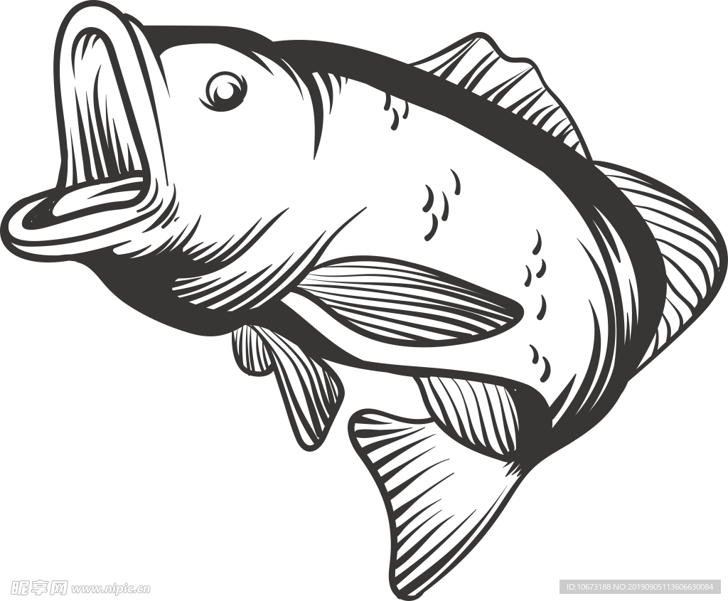 卡通海洋生物