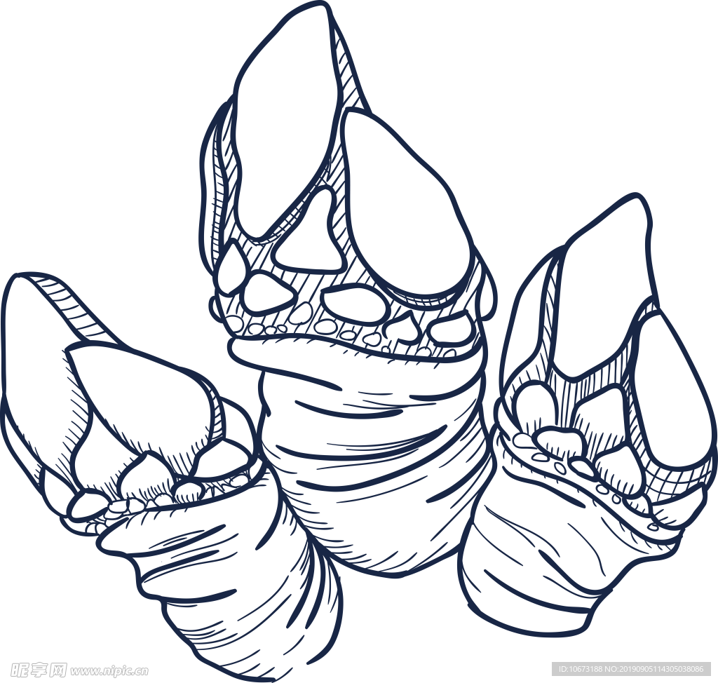 卡通海洋生物