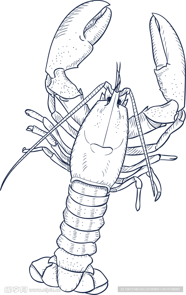 卡通海洋生物