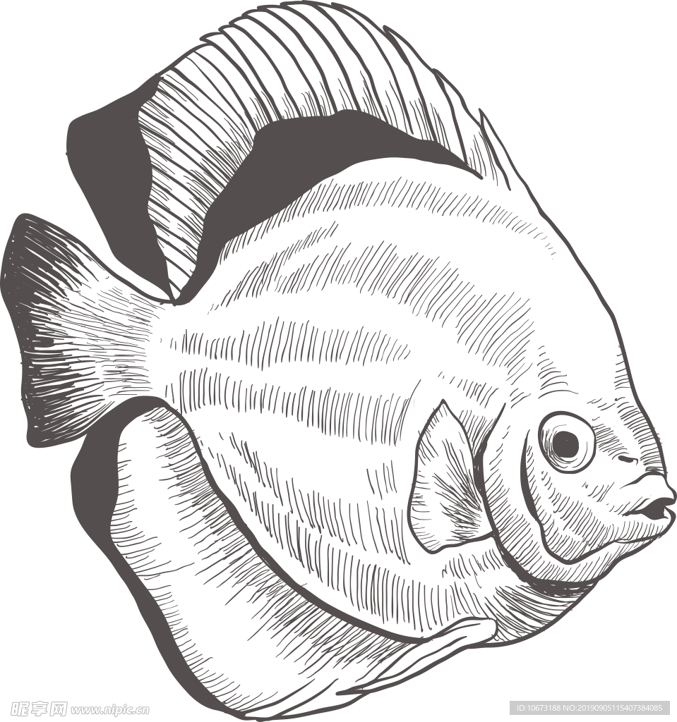 卡通海洋生物