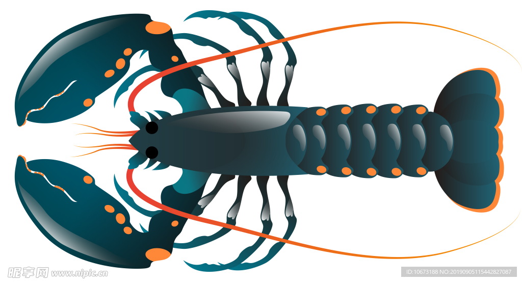 卡通海洋生物