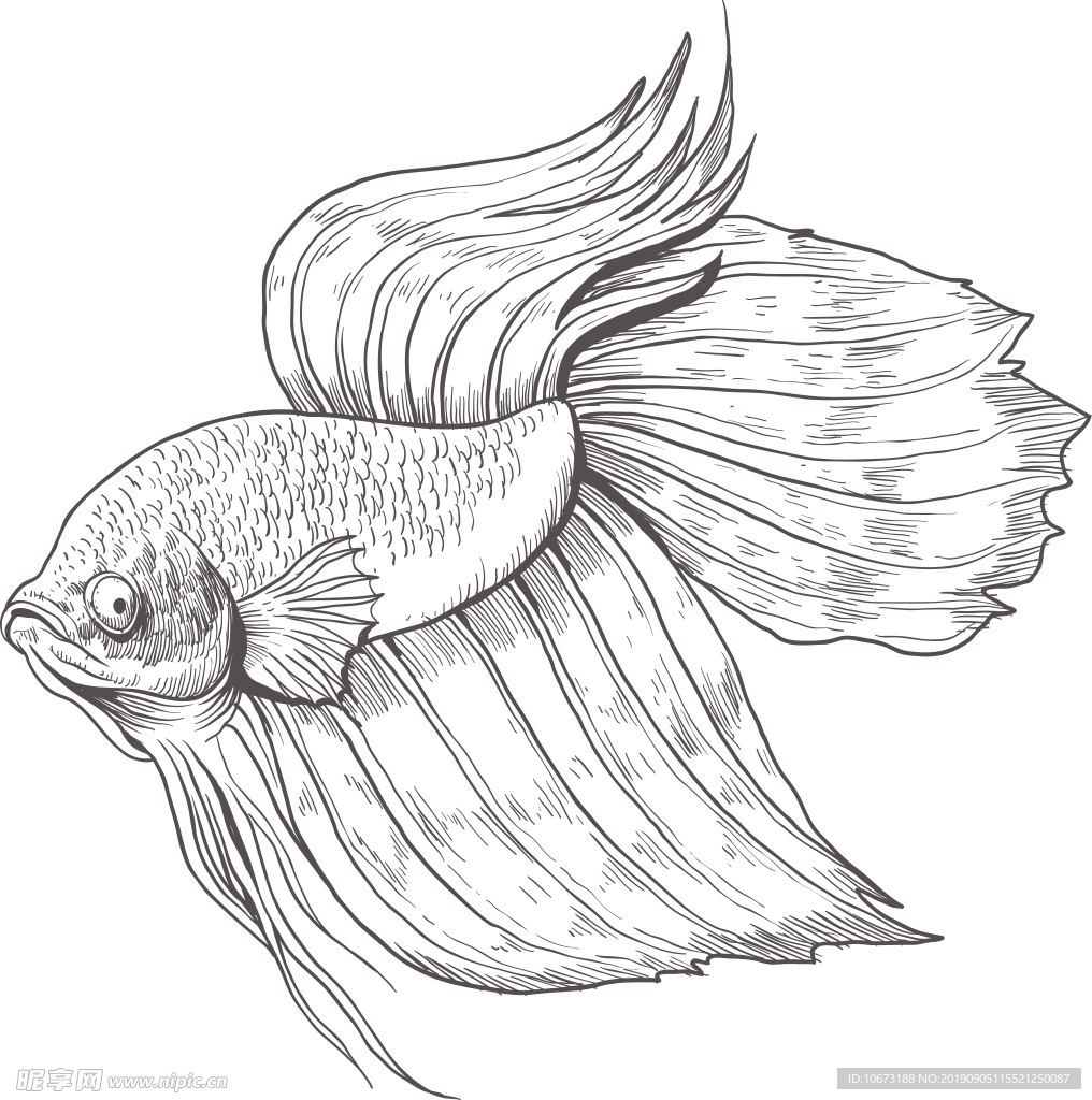 卡通海洋生物