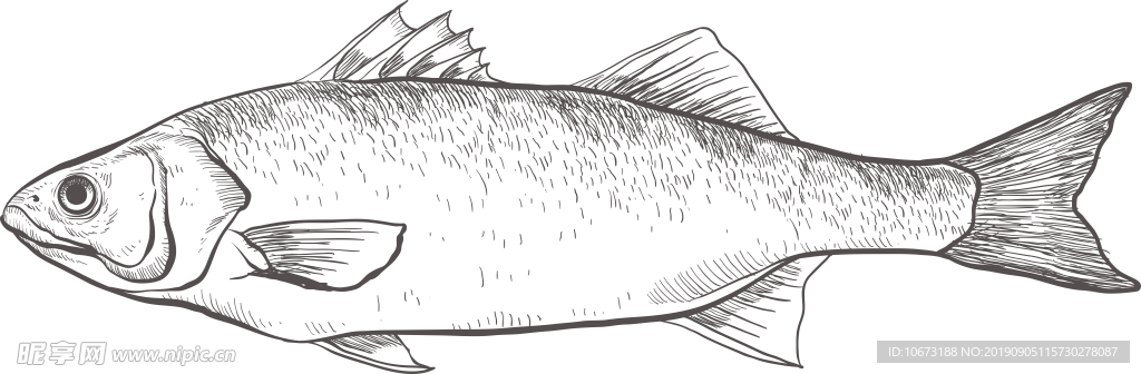 卡通海洋生物