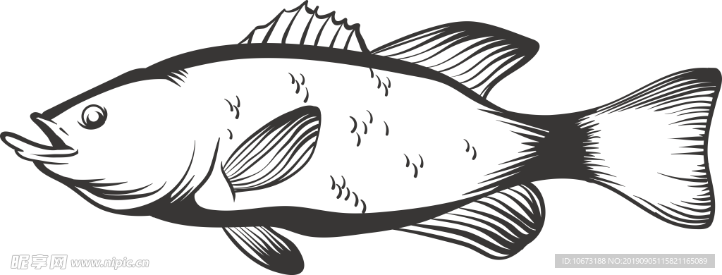 卡通海洋生物