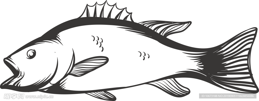卡通海洋生物