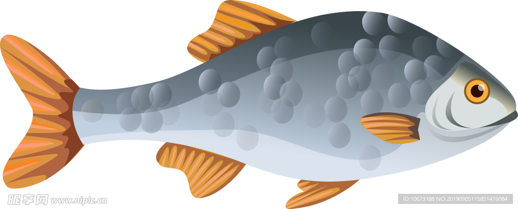 卡通海洋生物