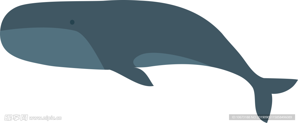 卡通海洋生物