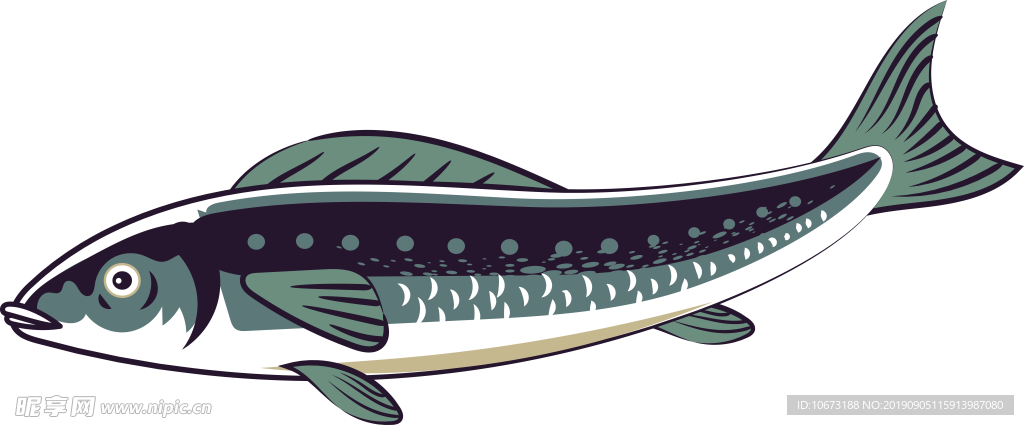 卡通海洋生物