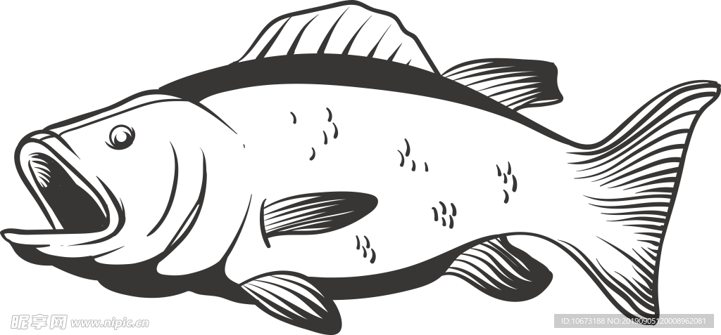 卡通海洋生物