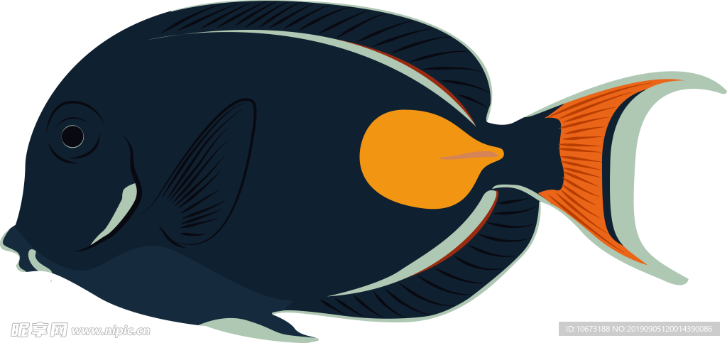 卡通海洋生物