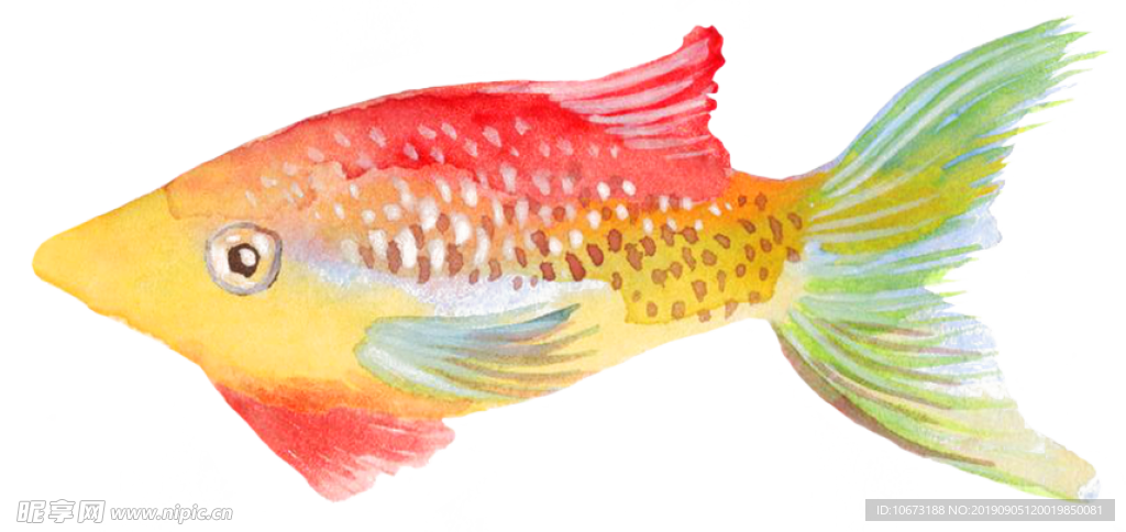 卡通海洋生物