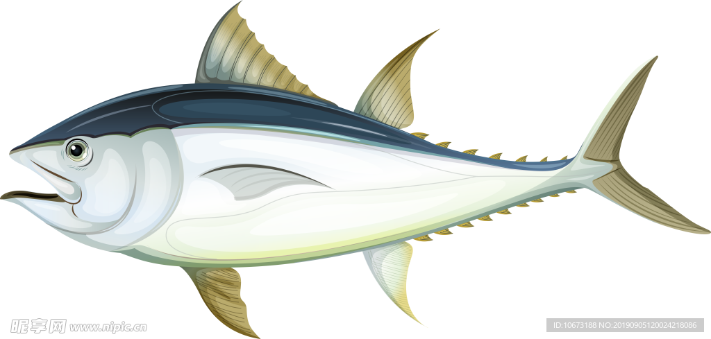 卡通海洋生物
