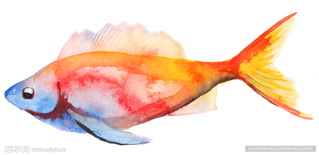卡通海洋生物