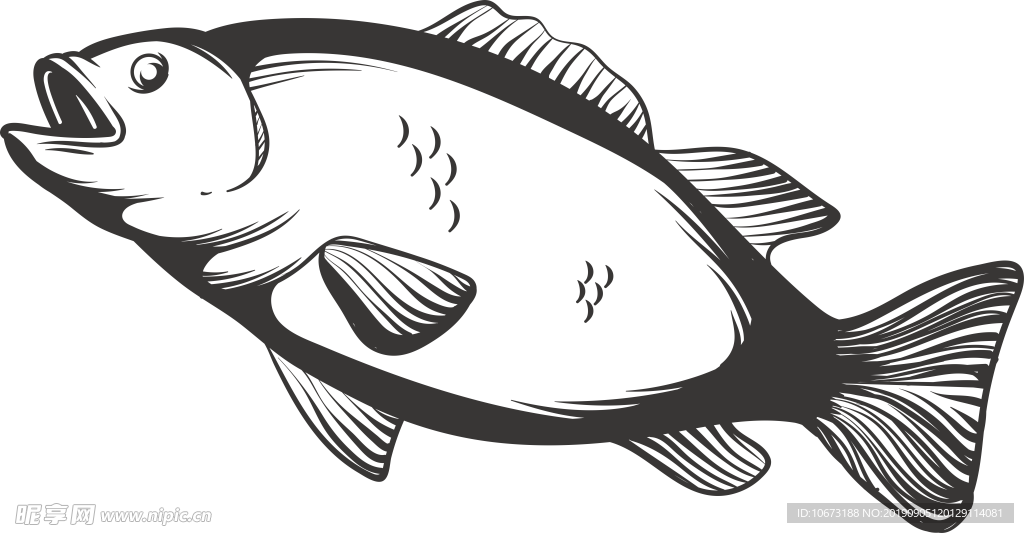 卡通海洋生物