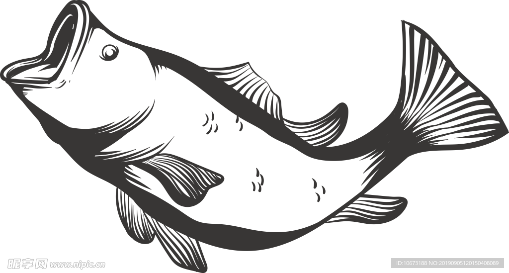 卡通海洋生物