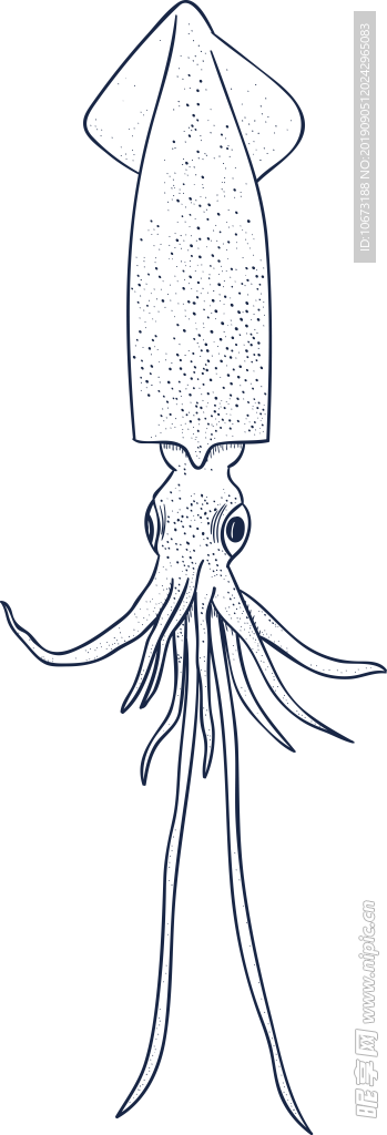 卡通海洋生物