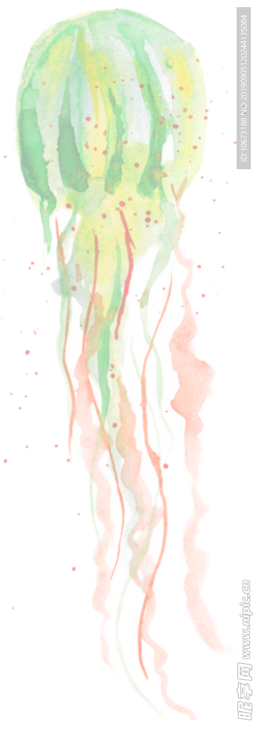 卡通海洋生物