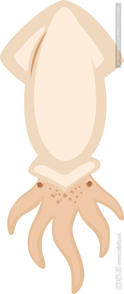 卡通海洋生物