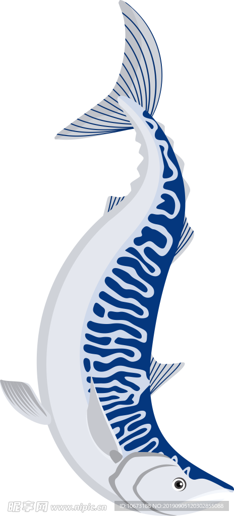 卡通海洋生物