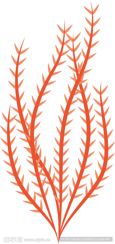 卡通海洋生物