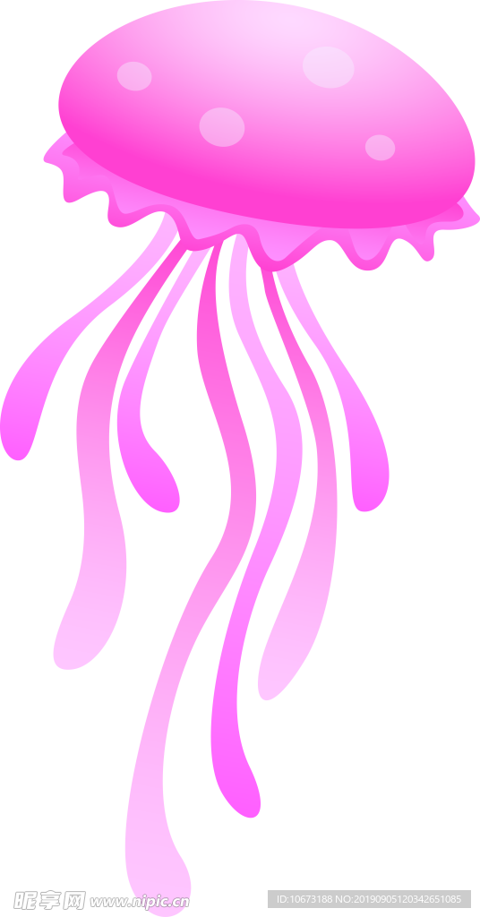 卡通海洋生物
