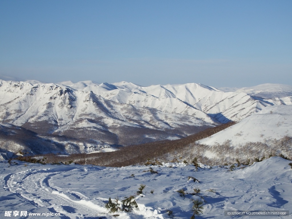 雪地