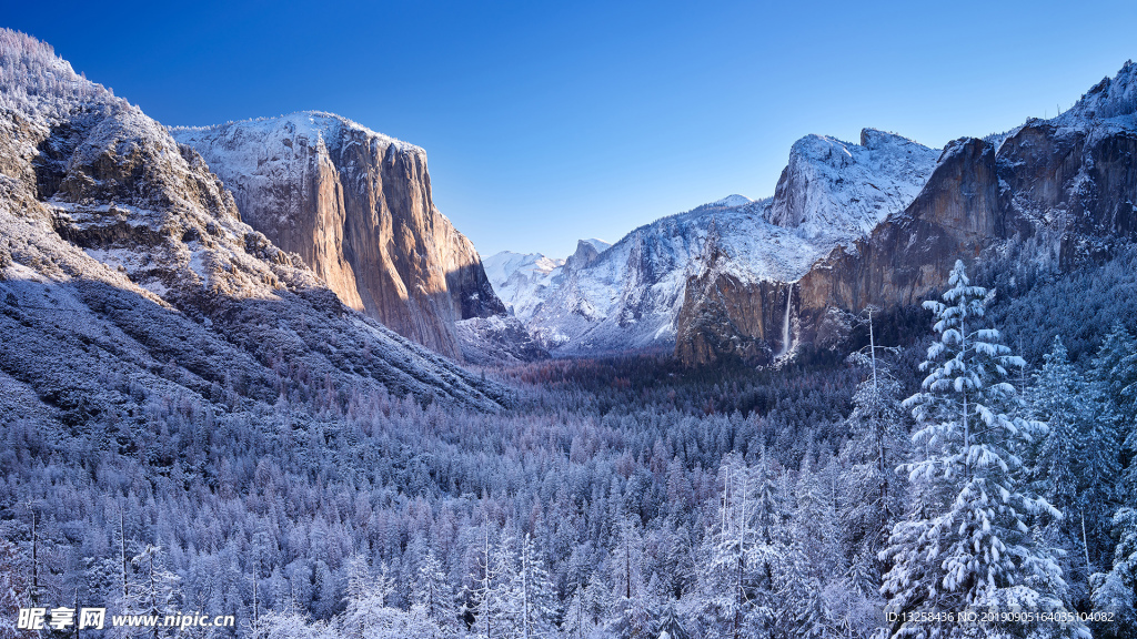 雪山森林风景