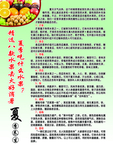 夏季吃什么水果
