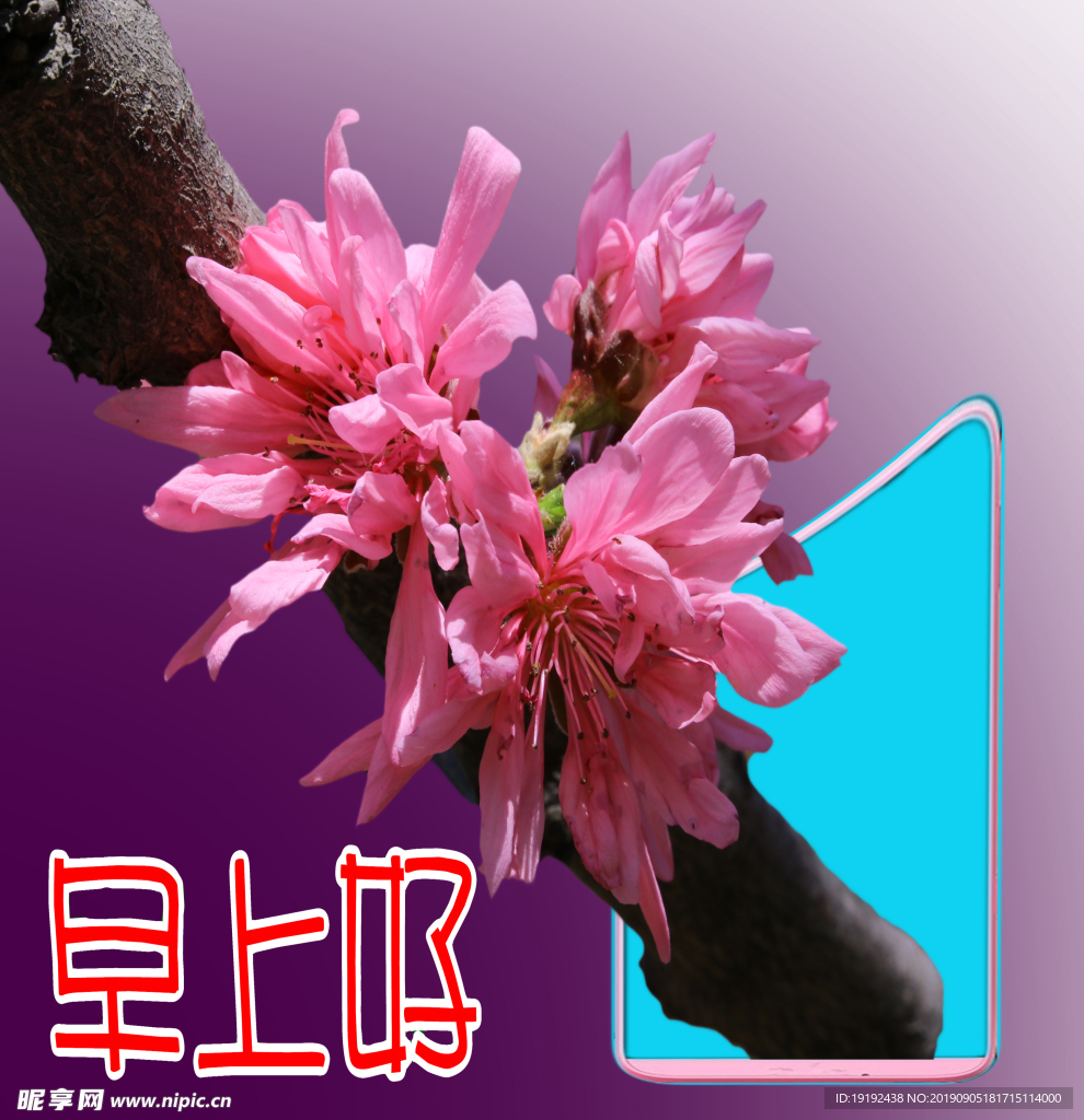 菊花桃