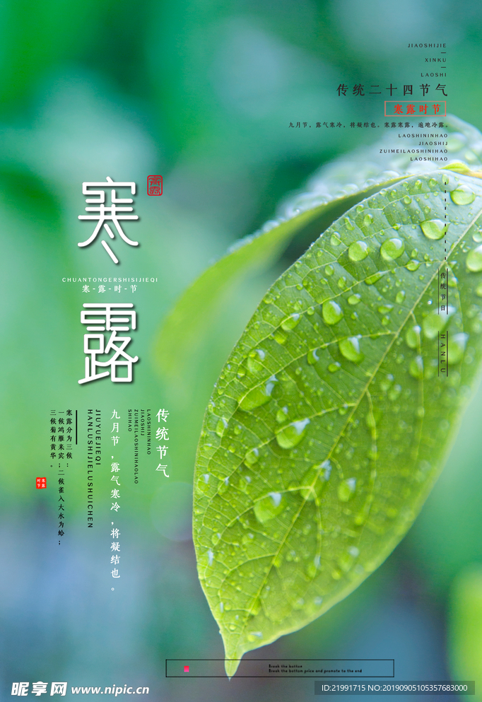 寒露