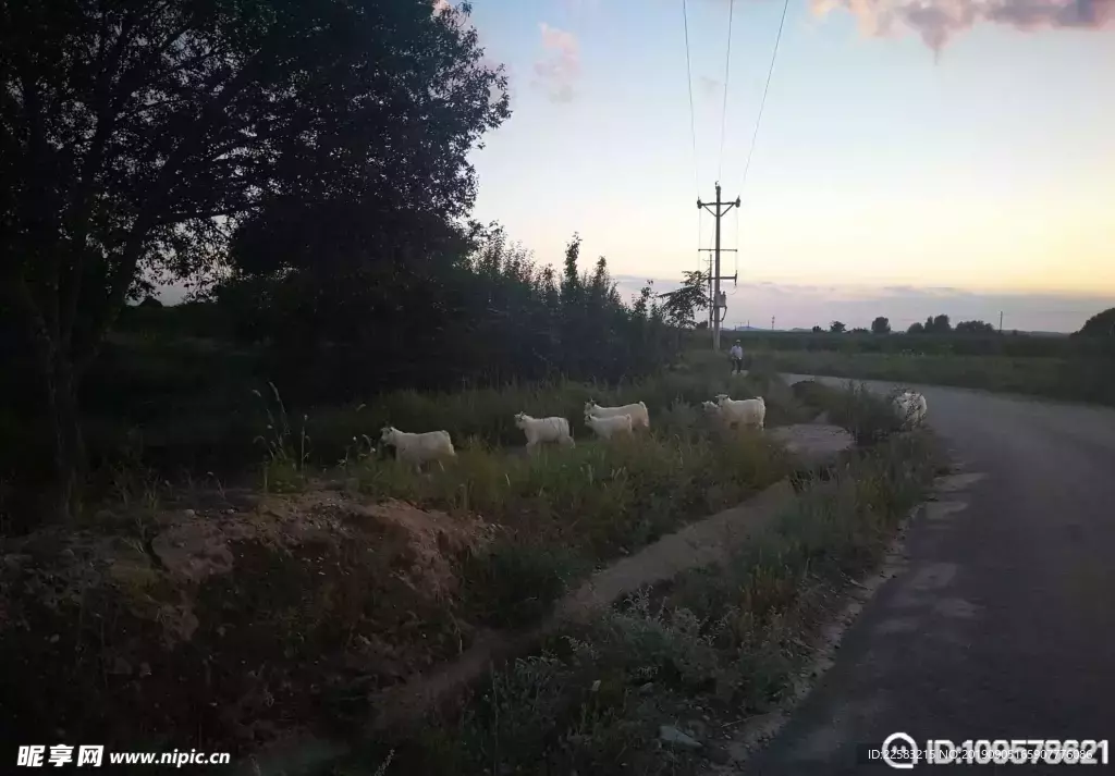 天气