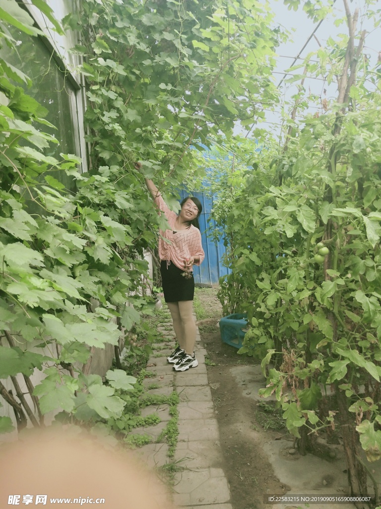 普通园