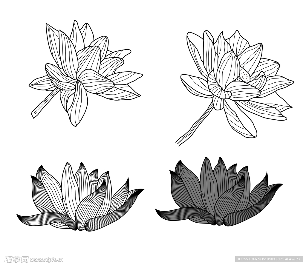 莲花