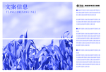 企业画册 高端画册 教育画册