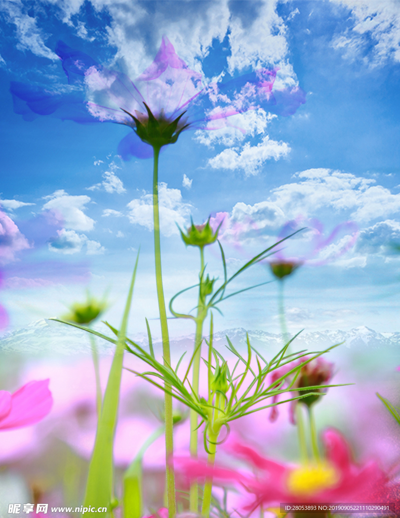 花