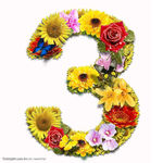 数字花