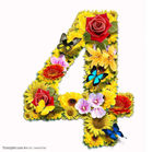 数字花