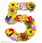 数字花