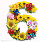 数字花