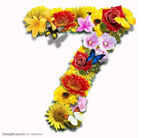 数字花