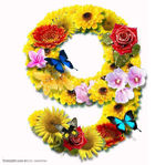 数字花