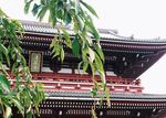 旅游 风景 房子 美景 天空
