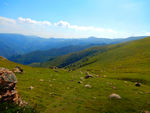 草原风景