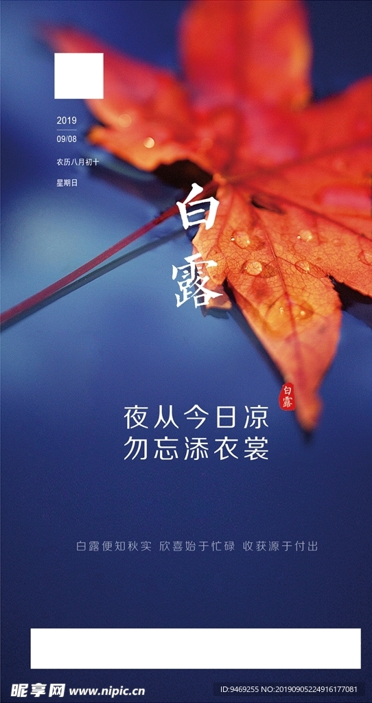 白露