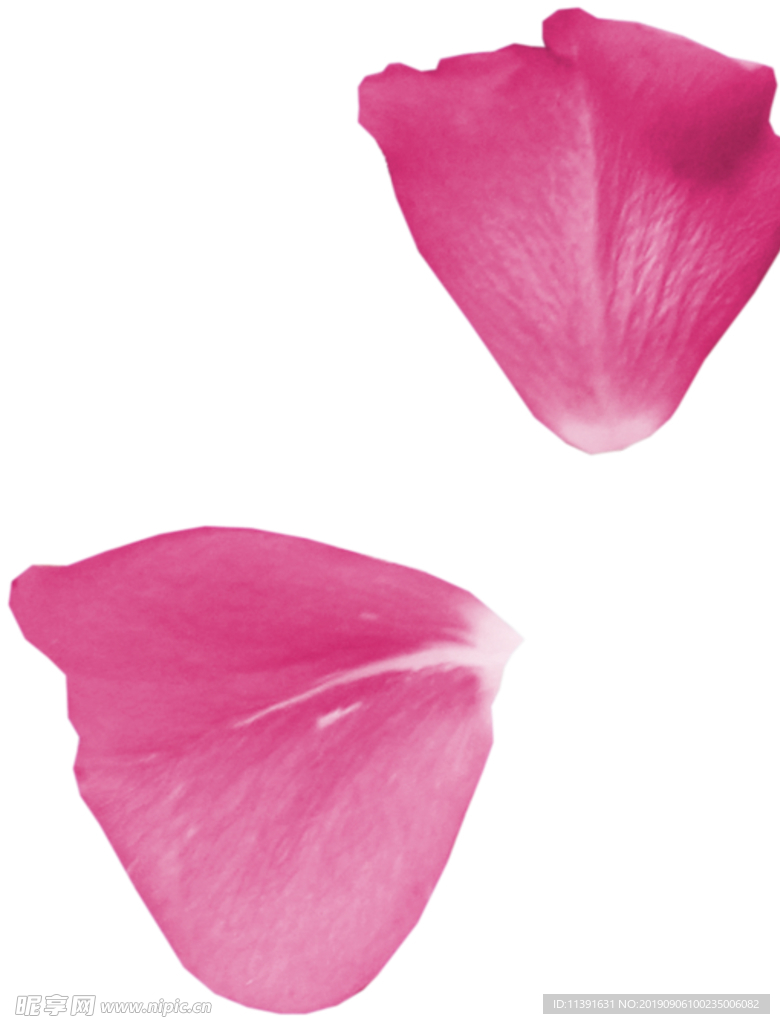 花瓣