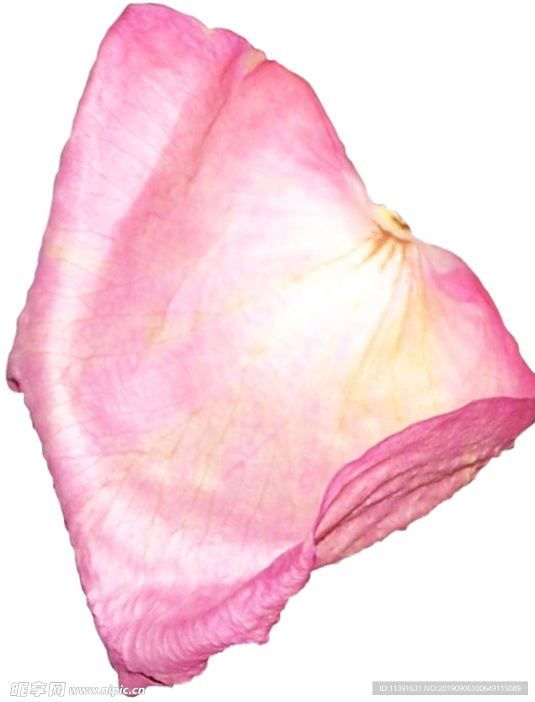 花瓣