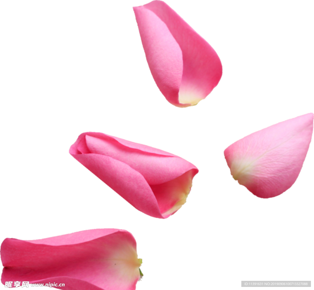 花瓣