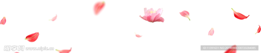 花瓣