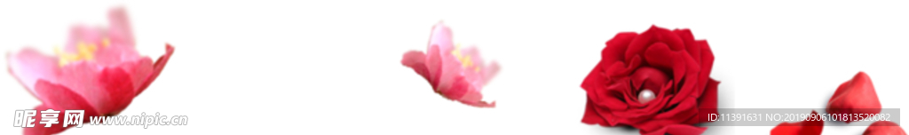 花瓣
