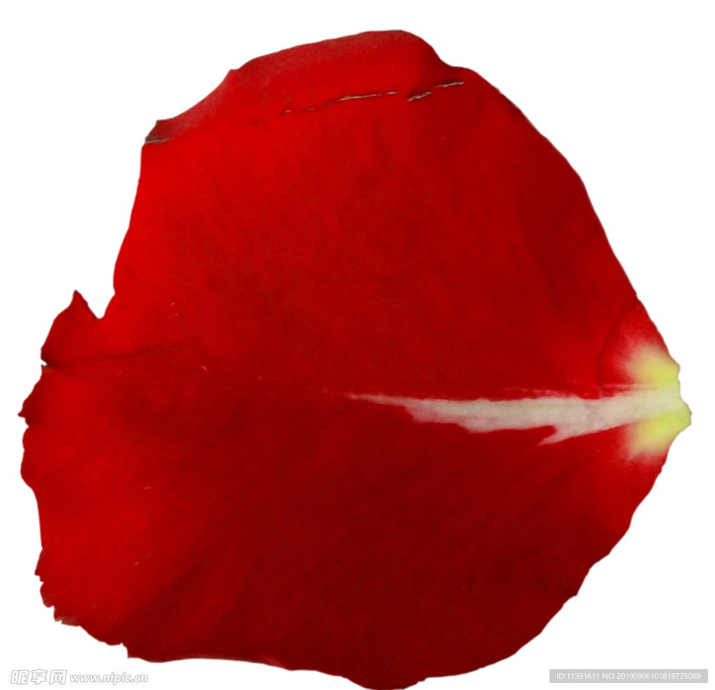 花瓣